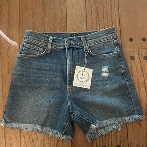 Zara Distressed Blue Jean Shorts
